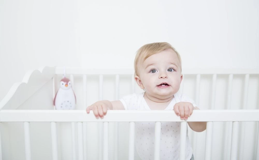 Zazu Zoe De Pinguin Grijs 3 In 1 Muziekdoosje ZA-ZOE-01 - Afbeelding 10