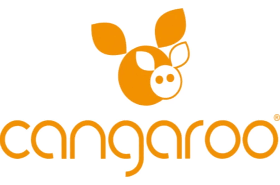 Cangaroo Adore Anti-reflux Hellend Vlak Kussen - Afbeelding 5