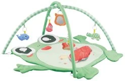 Eco Toys Kikker Activity Gym Speelkleed HC506649