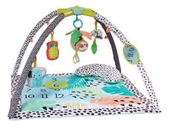 Infantino Milestones & Memories 4-in-1 Speelkleed BK-313007