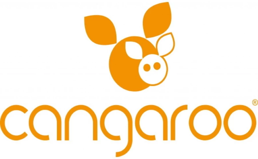 Cangaroo Explorer Grey Ergonomische Draagzak 7094 - Afbeelding 2