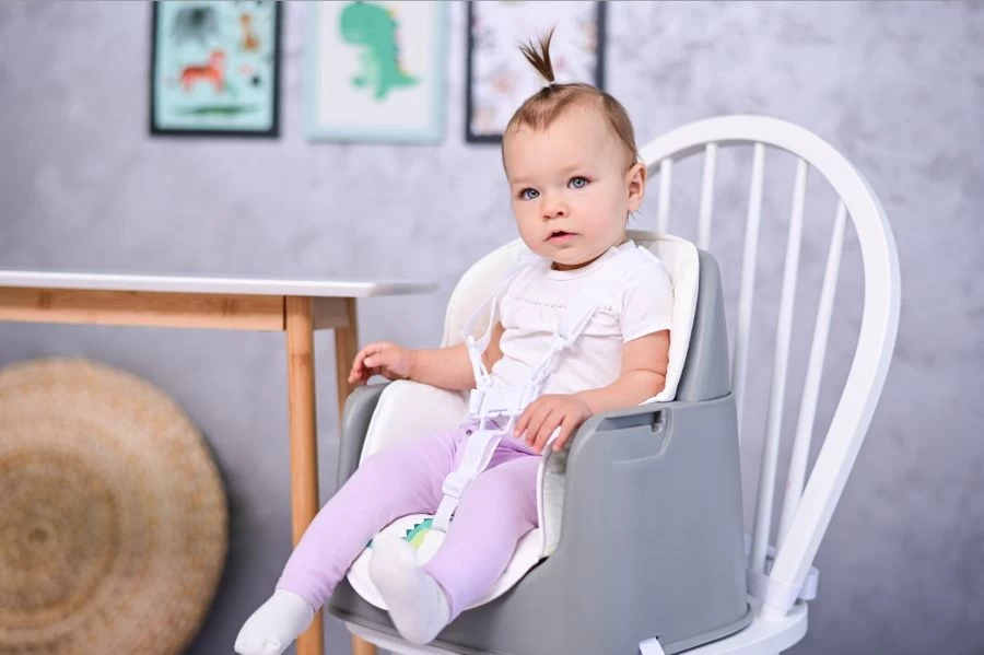 Lorelli Trick Pink Bears 3-in-1 Kinderstoel 1010049-2133 - Afbeelding 5