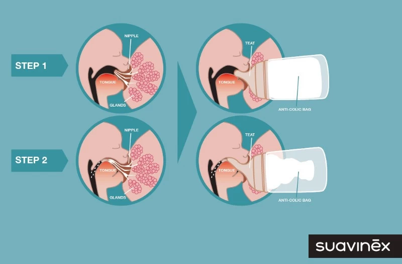 Suavinex Zero.Zero Anti-Colic Adaptable Flow Zuigfles 180ml SXZBRF049993 - Afbeelding 9