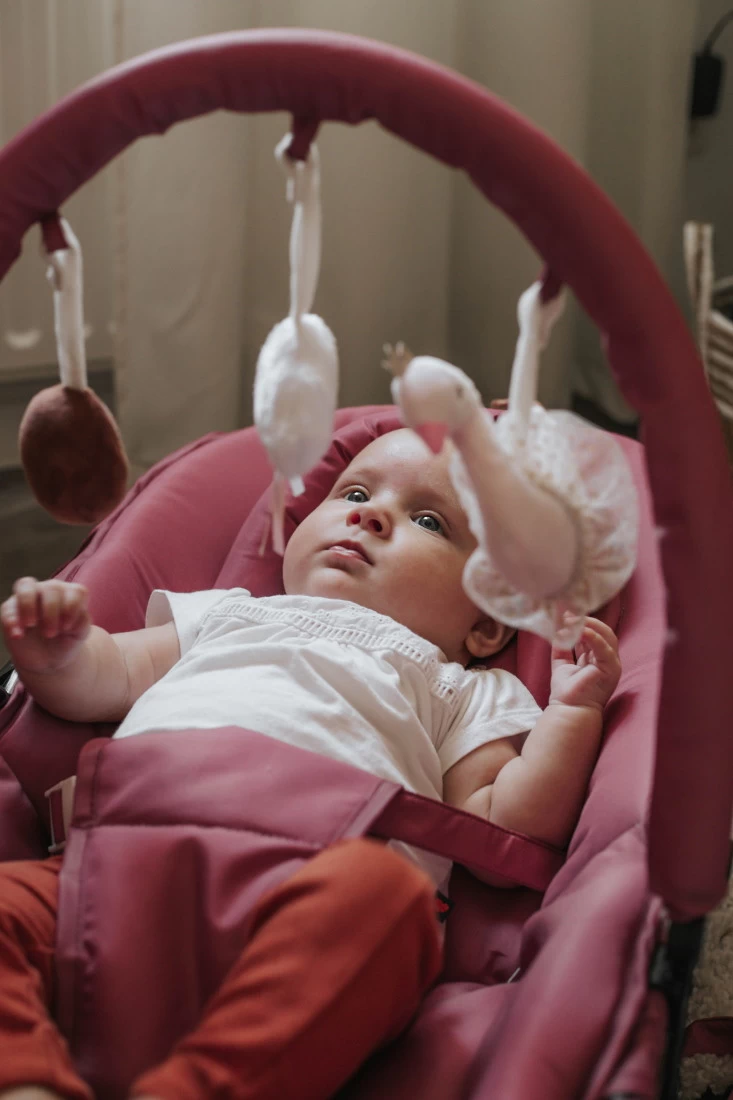 Tryco Swan Ivy Roze Wipstoel TR-272704 - Afbeelding 9